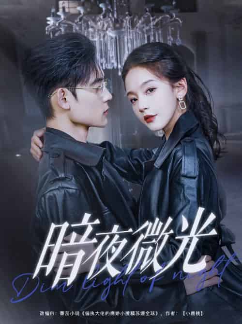 暗夜微光(86集)张力壬&徐波滴-搜外项目网