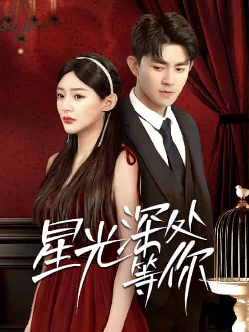 星光深处等你（70集）梅子健＆陈洁蕾-搜外项目网