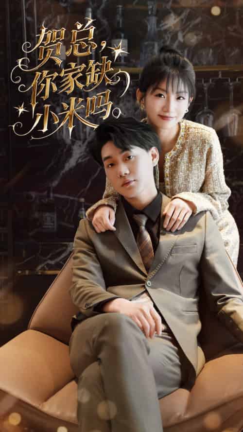 贺总你家缺小米吗（60集）李承熹＆姗姗-搜外项目网