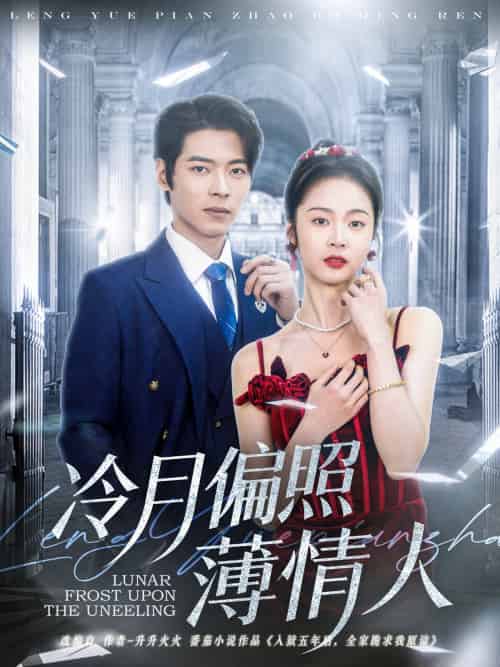 冷月偏照薄情人（81集）董一＆姚慧-搜外项目网