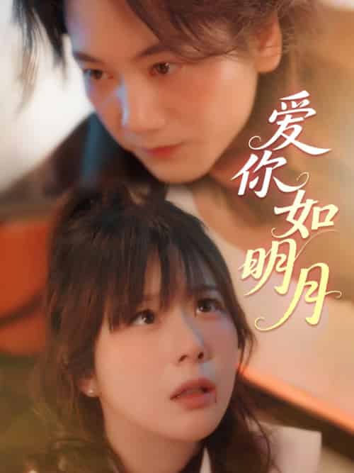 《爱你如明月》全集剧情介绍 - 搜外短剧