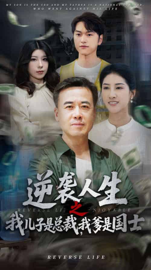逆袭人生之我儿子是总裁我爹是国士（64集）郑峰＆张释文-搜外项目网
