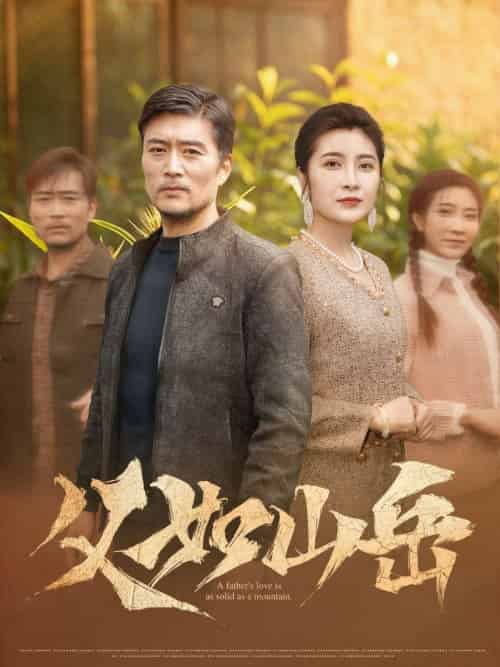 父如山岳（30集）杨凌＆东阳-搜外项目网