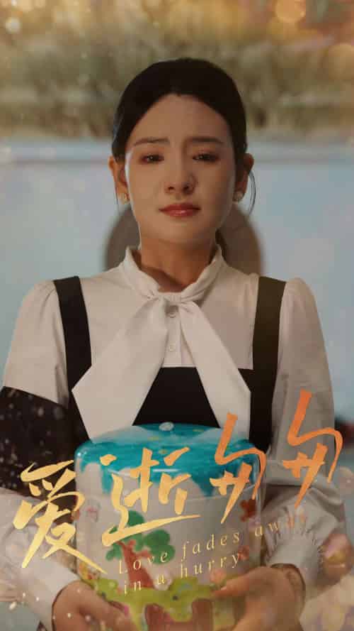 爱逝匆匆（53集）李雯慧＆程雨-搜外项目网