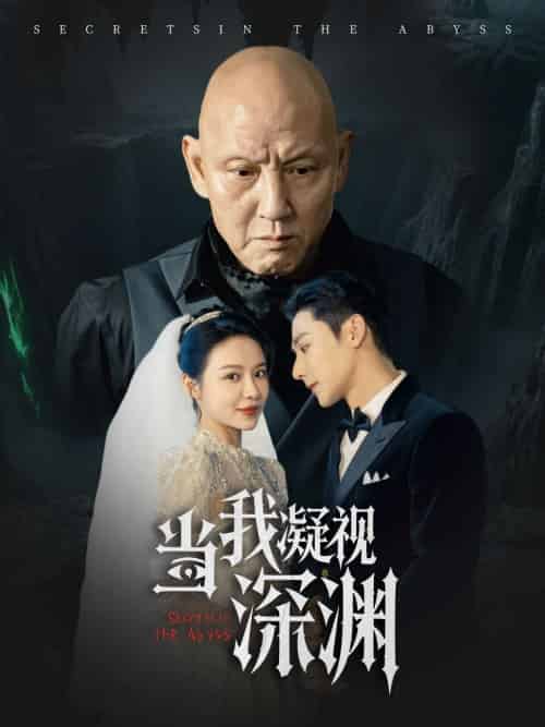 当我凝视深渊(72集)盛以婕-搜外项目网