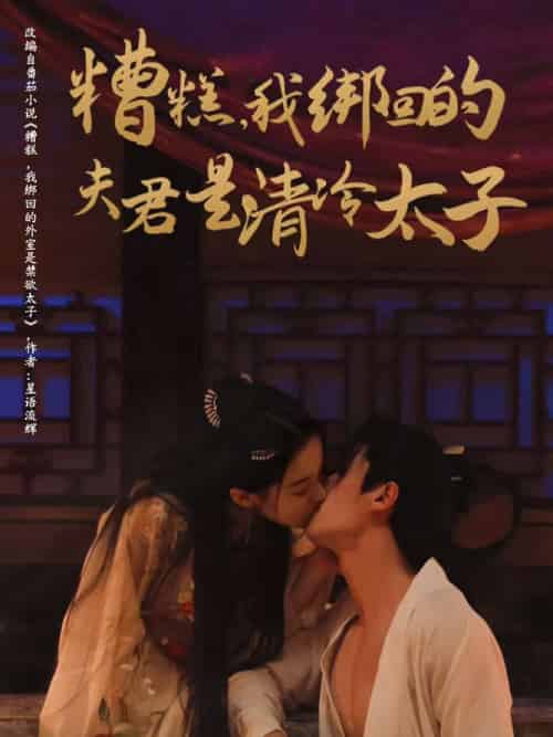 糟糕我绑回的夫君是清冷太子(63集)徐扬灏&董玥妤-搜外项目网