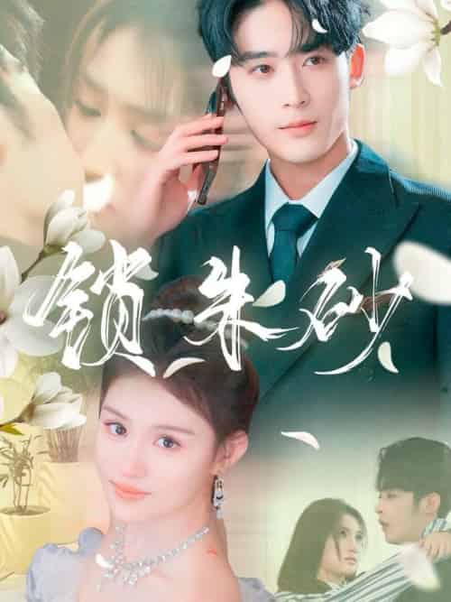 锁朱砂＆在火焰尽头等你（80集全）林昱希＆安晓洁＆汪雅琦-搜外项目网