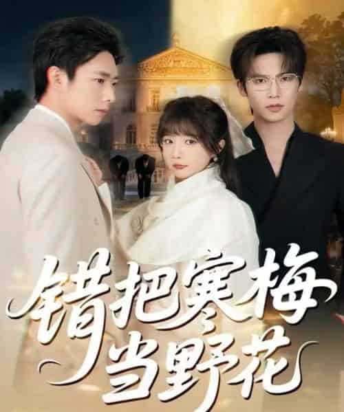 错把寒梅当野花（60集全）于颢鑫＆王籽霖-搜外项目网
