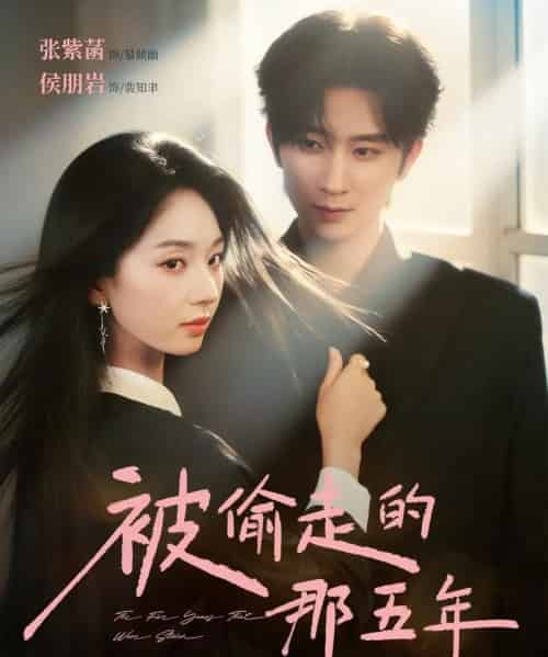 被偷走的那五年(80集全)侯朋岩&张紫菡-搜外项目网
