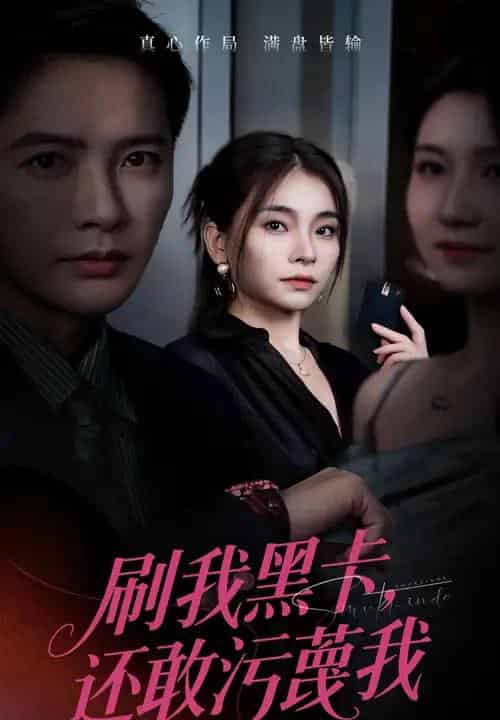 刷我黑卡还敢污蔑我（55集全）张晓楠＆李永鑫-搜外项目网