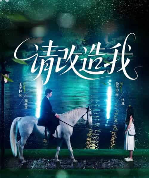 请改造我（63集）王子林＆孙芊浔-搜外项目网