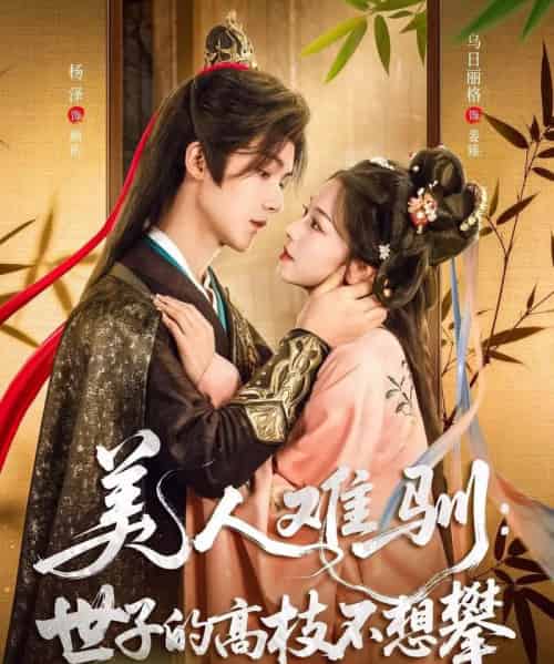 美人难驯世子的高枝不想攀(81集)杨泽&乌日丽格-搜外项目网