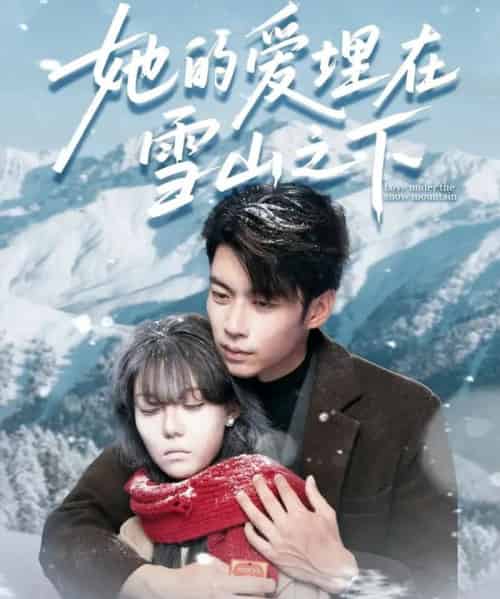 她的爱埋在雪山之下&爱在雪山下(60集全)张贻乔&苏逸阳-搜外项目网