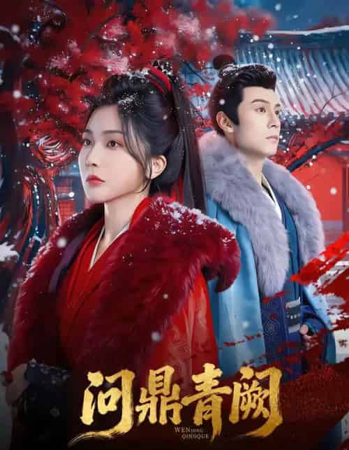 问鼎青阙（80集全）张屹杨＆姜瑶-搜外项目网