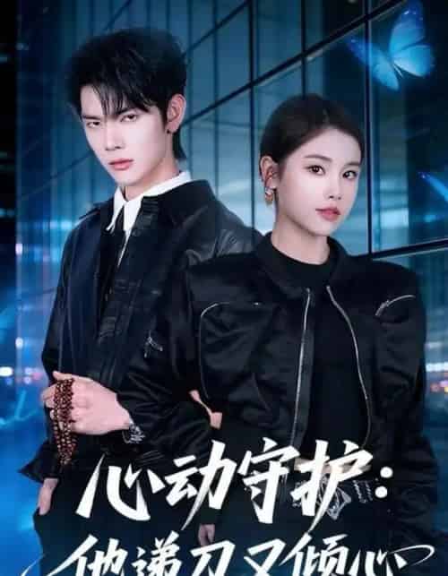 心动守护：他递刀又倾心（62集全）舒沁儿＆翁启航-搜外项目网