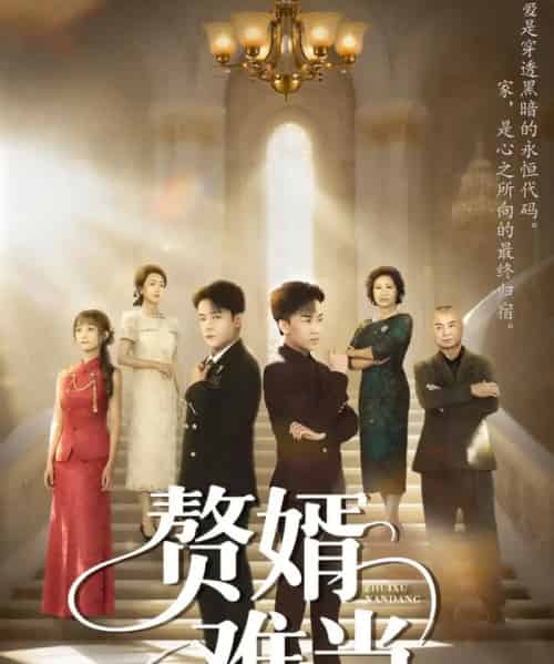 婿业难成＆赘婿难当（69集全）丁敬一＆段乃心-搜外项目网