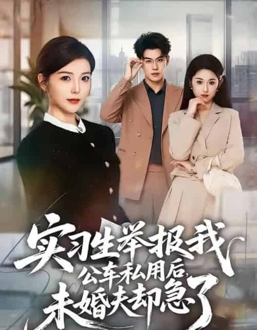 实习生举报我公车私用后，未婚夫却急了（70集全）刘锟泓＆宋晓-搜外项目网