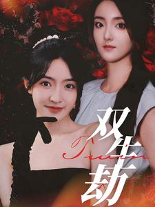 双生劫（68集）-搜外项目网