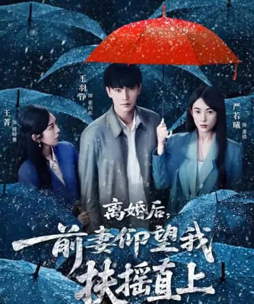 离婚后，前妻仰望我扶摇直上（84集全）王羽铮＆严若曦-搜外项目网