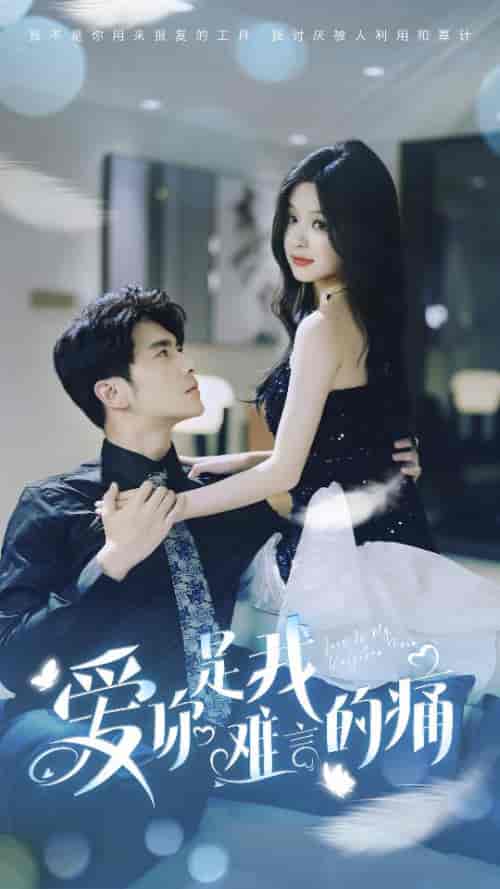 爱你是我难言的痛＆对不起我爱你（77集）余茵-搜外项目网