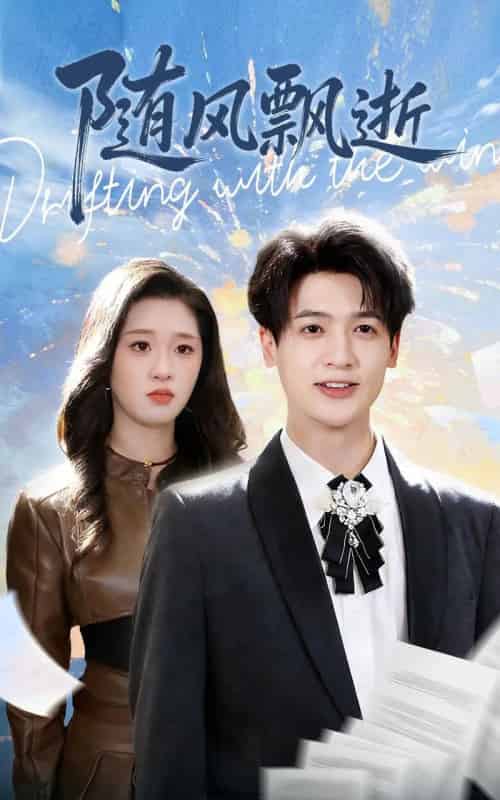 随风飘逝（54集全）魏依珂＆博之-搜外项目网