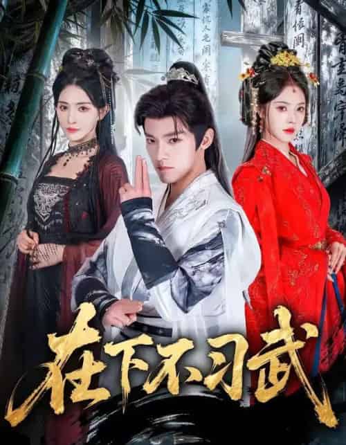 在下不习武(60集全)王珞嘉&苏西-搜外项目网