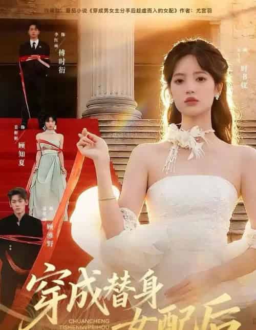 穿成替身女配后(69集全)吴飞雪&聂基坤&黄露-搜外项目网