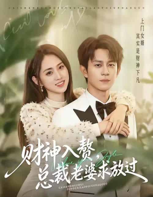 财神入赘，总裁老婆求放过（60集全）董劭辉＆李晓雨-搜外项目网