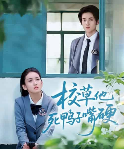 校草他死鸭子嘴硬（60集）王典典＆冯益腾-搜外项目网