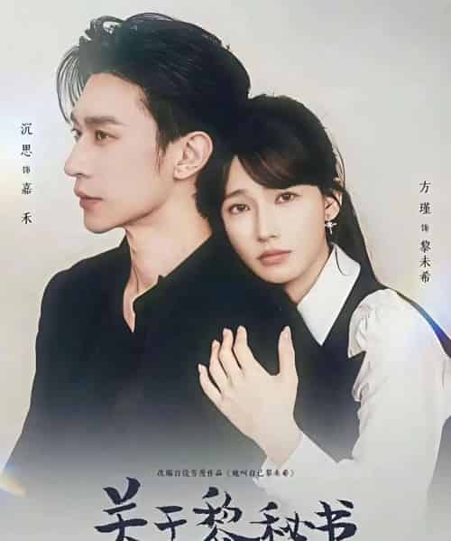 关于黎秘书的一切（60集全）沉思＆方瑾-搜外项目网