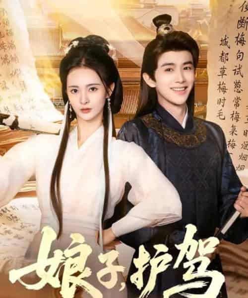 娘子护驾（73集全）陈外＆刘柠熹-搜外项目网