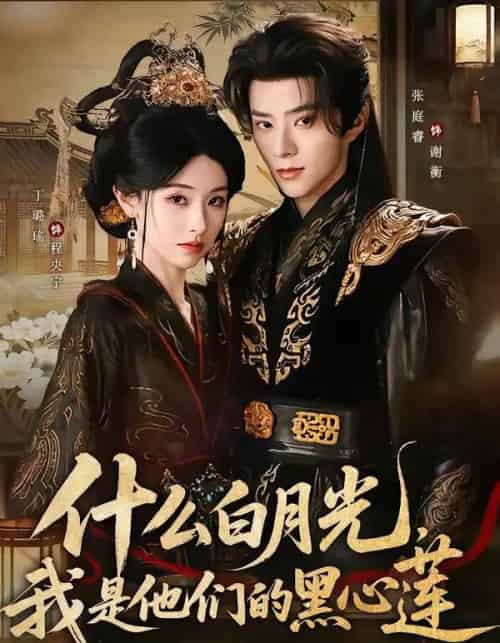 什么白月光，我是他们的黑心莲（79集全）张庭睿＆丁璐瑶-搜外项目网