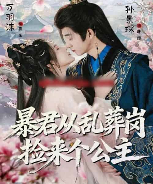 暴君从乱葬岗捡来个公主（61集全）万羽沫＆孙景琛-搜外项目网