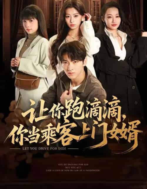 让你跑滴滴，你当乘客上门女婿（71集全）孙文博＆魏奕菲-搜外项目网