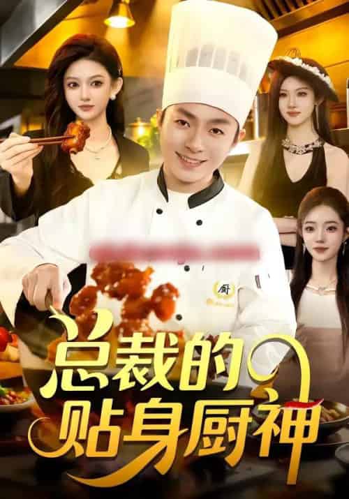 总裁的贴身厨神（94集全）陈禺宏＆李秉润-搜外项目网