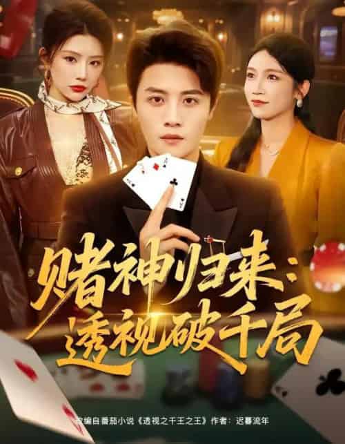 赌神归来：透视破千局（78集全）钟情＆刘方为-搜外项目网