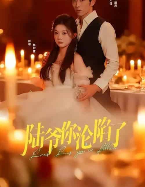 陆爷你沦陷了（78集全）曹天恺＆彭瑶-搜外项目网