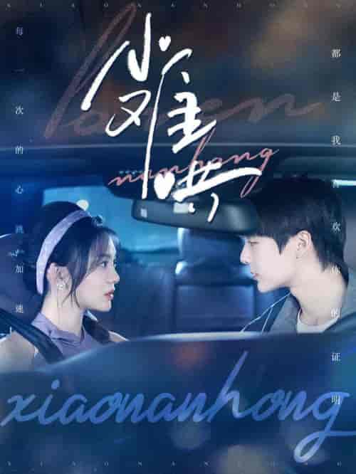 小难哄(100集全)段美洋&彭瑶-搜外项目网