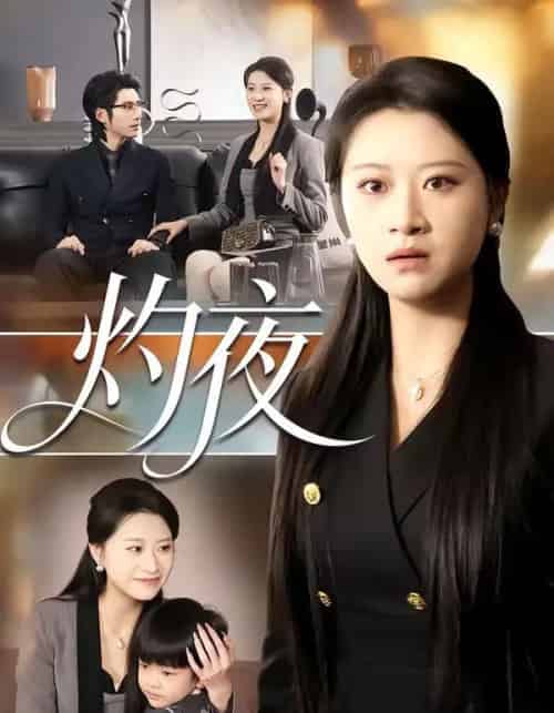 灼夜(78集全)程娜&郝睿杰-搜外项目网