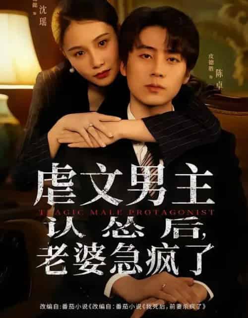 虐文男主认怂后，老婆急疯了（60集全）皮德胜＆王姝懿-搜外项目网