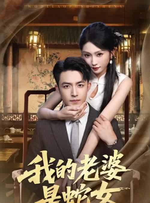 我的老婆是蛇女（52集）刘月涛＆宋佳音＆林十八-搜外项目网