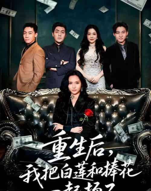 重生后我把白莲和手捧花一起扬了&保姆女儿想用9.9换走我的千万捧花(47集全)刘洋&李苗苗-搜外项目网