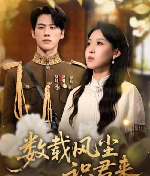 数载风尘识君来（62集全）陈景赫＆赵英男-搜外项目网