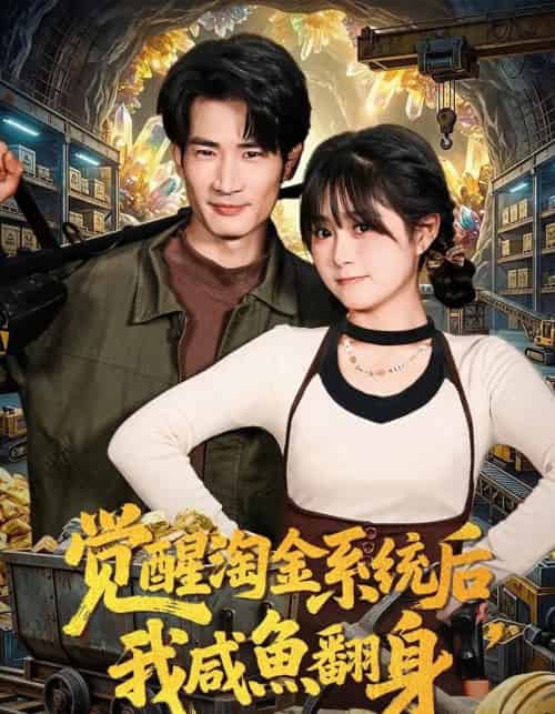 觉醒淘金系统后，我咸鱼翻身（70集全）何俊雄＆何宇涵-搜外项目网