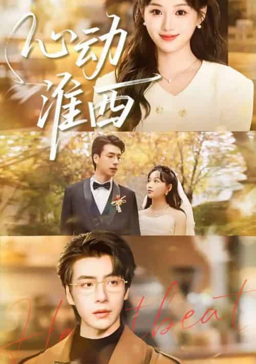 心动淮西(100集全)席文君&许凌云-搜外项目网