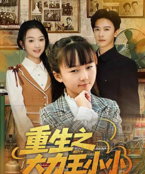 重生之大力王小小（80集全）张云庆＆程昕玥-搜外项目网