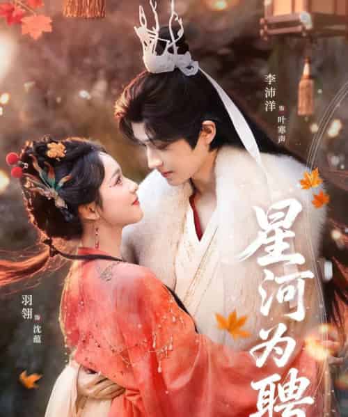 星河为聘(86集全)羽翎&李沛洋-搜外项目网