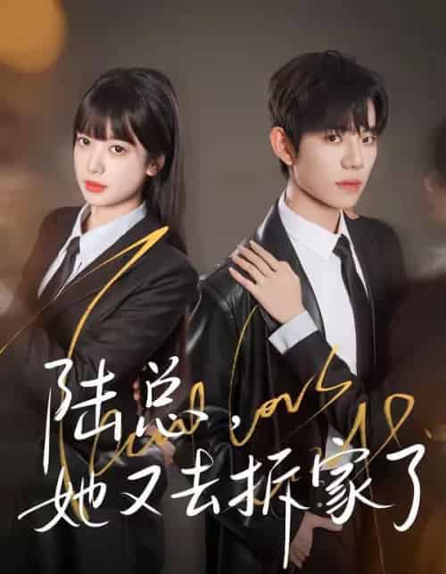 陆总，她又去拆家了（80集全）白贯羽＆吴飞雪-搜外项目网