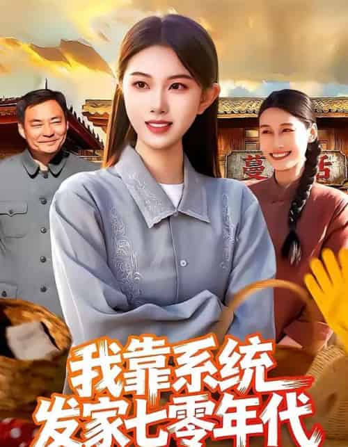 我靠系统发家七零年代（118集全）邢乐＆刘娜-搜外项目网