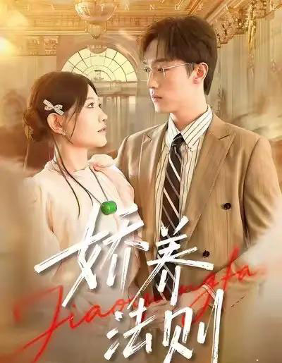 娇养法则(97集全)谭丽芳&恩灿-搜外项目网